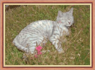 Grey Tabby Cat in the Grass ~ 14 Count Cross Stitch 14