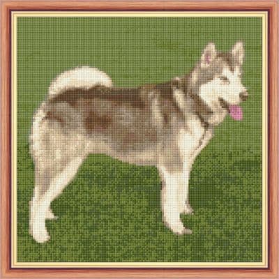 Husky Dog (Browns), Standing in the Grass ~ 14 Count Cross Stitch 10