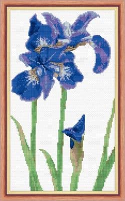 Iris, Bright Royal Blue Flower: Counted Cross Stitch Kit or Chart | 14ct 7