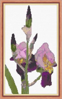 Iris, Purple Flower with Buds Flowers: Counted Cross Stitch Kit or Chart | 14ct 7
