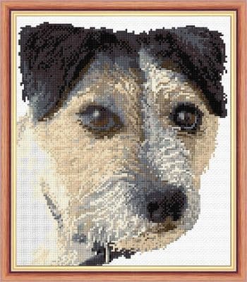 Jack Russell, Dog Design No. 2 ~ 14 Count Cross Stitch - 8.5