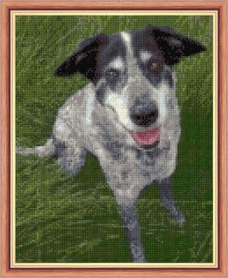 Jack Russell, Dog Design No. 4, Puppy in the Green Grass ~ 14 Count Cross Stitch 8