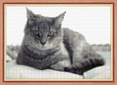 Lazy Cat in Black & White Shades ~ 14 Count Cross Stitch 10
