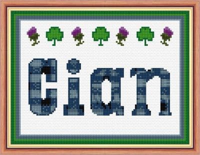 Name Sampler/Announcement, Scottish/Irish - 14 Count Cross Stitch