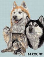 Pack of Wild Husky Dogs:  Counted Cross Stitch Kit or Chart | 14ct or 18ct Grey Aida