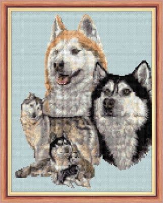 Pack of Wild Husky Dogs:  Counted Cross Stitch Kit or Chart | 14ct or 18ct Grey Aida