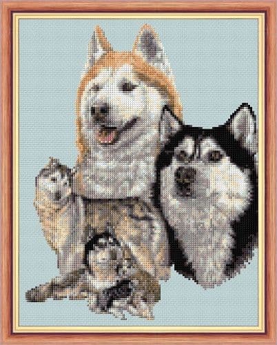 Pack of Wild Husky Dogs:  Counted Cross Stitch Kit or Chart | 14ct or 18ct Grey Aida