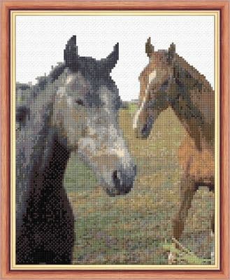 Pair of Beautiful Horses ~ 14 Count Cross Stitch 8
