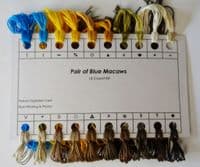 Macaw Cross Stitch Kit – Full Kit or Chart Only (14ct Aida)