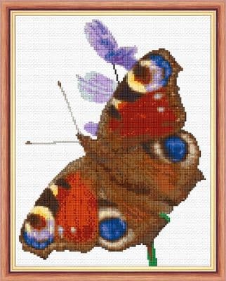 Peacock Butterfly: Counted Cross Stitch Kit or Chart | 14ct 8.6