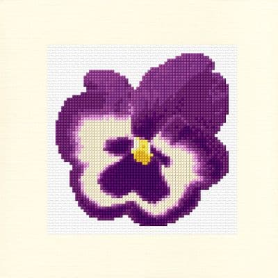 Purple Pansy: Plain Birthday Cross Stitch Card Kit | 18ct Square 5.5