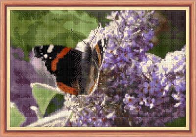 Red Admiral Butterfly & Buddleia Bush ~ 14 Count Cross Stitch, 12