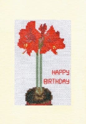 Red Potted Amaryllis Cross Stitch Card Kit ~ Happy Birthday A5 Floral Greeting