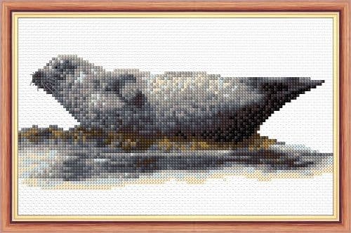 Scottish Grey Seal Counted Cross Stitch Mini Kit | 14ct Aida 8