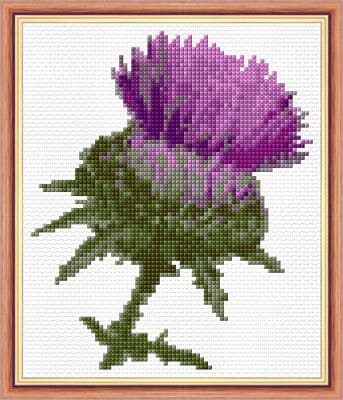 Scottish Purple Thistle ~ 14 Count Cross Stitch Mini Kit