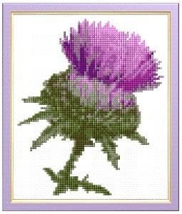 Scottish Themed Designs