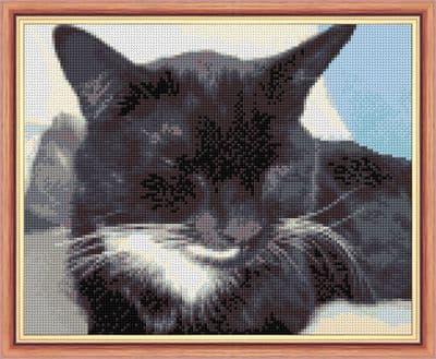Sleeping Black & White Cat: Counted Cross Stitch Kit or Chart | 14ct 10