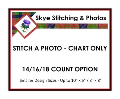 Stitch A Photo, CHART ONLY, 14/16/18 Count: Small