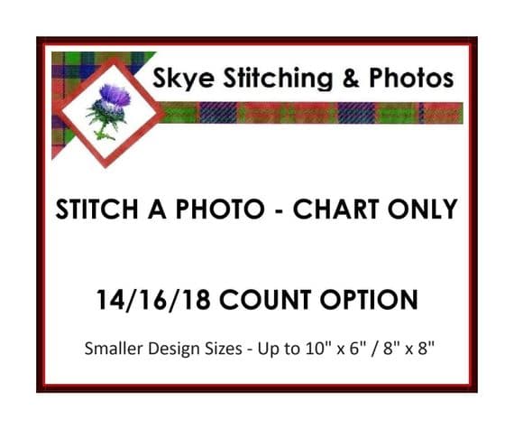 Stitch a Photo Cross Stitch Small Chart | Personalised from Your Photo | 14, 16, 18 Count