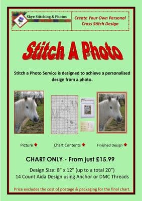 Stitch A Photo, CHART ONLY, 14/16/18 Counted Cross Stitch Designs