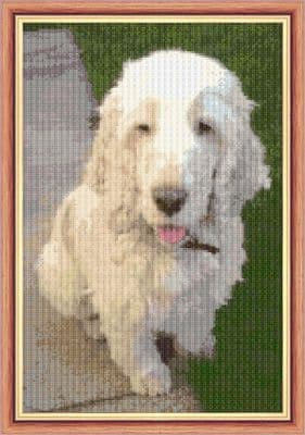 White Cocker Spaniel Dog ~ 16 Count Cross Stitch 8