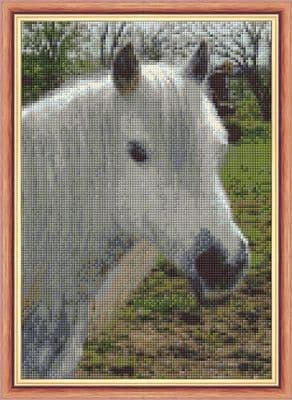 White Highland Pony/Horse Portrait ~ 14 Count Cross Stitch 7