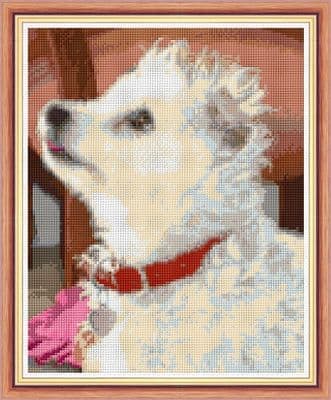 White Jack Russell, Dog Design No. 6 ~ 14 Count Cross Stitch 8