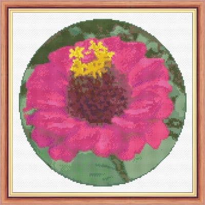Zinnia (Purple / Violet) Flower: Counted Cross Stitch Kit or Chart | 14ct 10