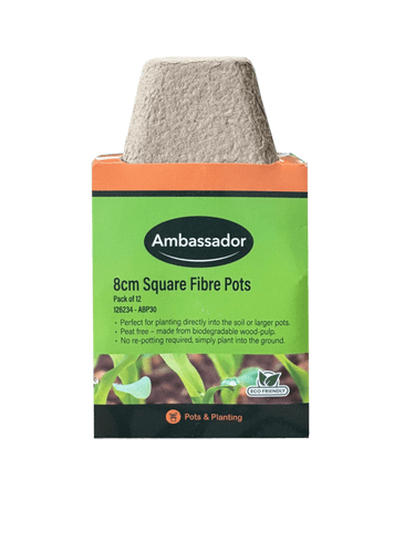 Ambassador 8cm Square Fibre Pots - Pack 12