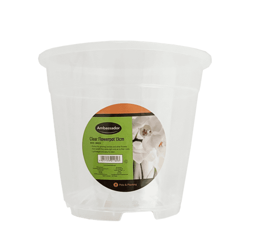 Ambassador Clear Flowerpot - 13cm