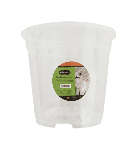 Ambassador Clear Flowerpot - 17cm