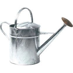 Ambassador Galvanised Watering Can - 2 Gallon