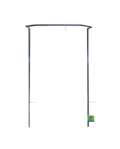 Ambassador Garden Support Stakes Pack 2 - 100 x 50cm
