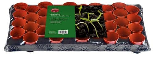 Ambassador Growing Tray - 18 x 9cm Square Pots