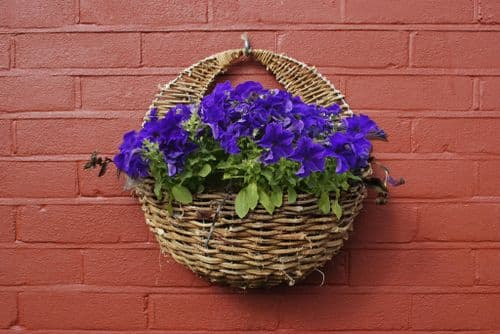 Ambassador Rattan Wall Basket - 16"