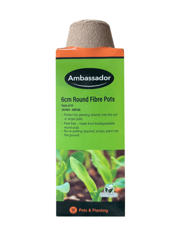 Ambassador Round Fibre Pots - 6cm - Pack 24