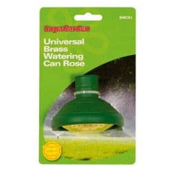 Ambassador Watering Can Rose - Brass