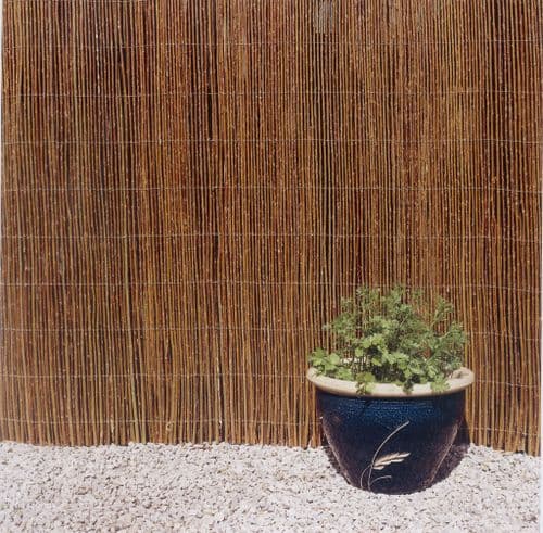 Ambassador Willow Screening - 4m x 1m