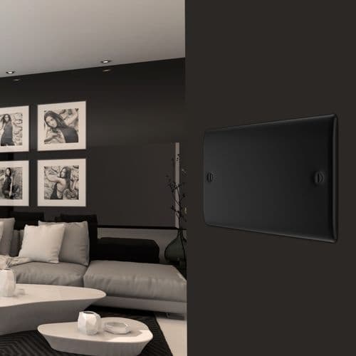 BG Double Blank Plate - Matt Black