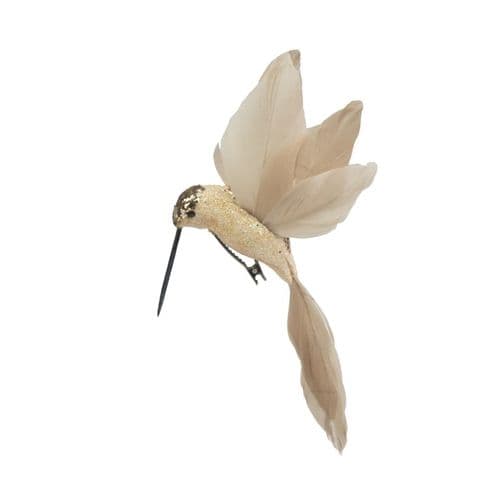 Davies Products Feather Hummingbird - 19cm Champagne