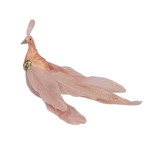 Davies Products Feather Peacock - 19cm Blush