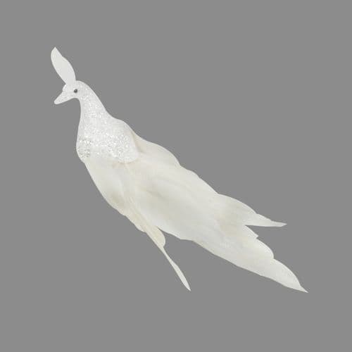 Davies Products Feather Peacock - 19cm White
