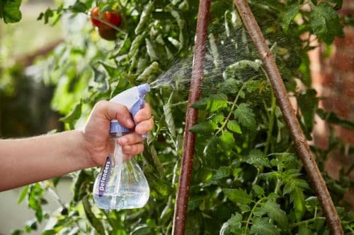 Defenders Multi Purpose Sprayer - 330ml