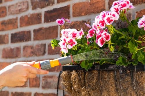 Hozelock 3 in 1 Nozzle Plus - Carded