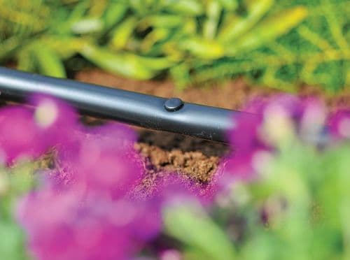 Hozelock Blanking Plug - Pack 10