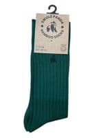Bamboo Socks by Swole Panda - SP098 Green