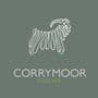 Corrymoor Mohair Socks - Corrymoor Companion  (Shoe Size 4-7)