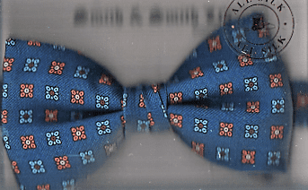 Ready Tied Silk Bow Tie - SP.2015