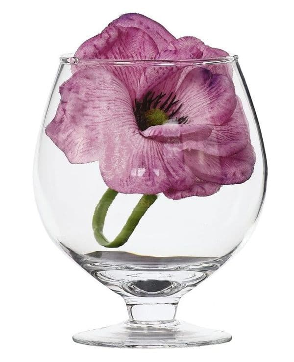 Cognac Glass Vase 700ml- Solavia Glassware Barware