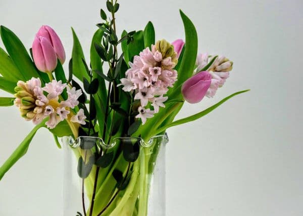 Cylinder Vase Pinched 15cm,  Solavia Glassware